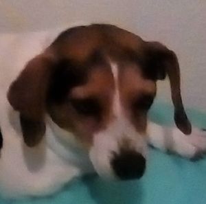 Meet your Posher, Tim